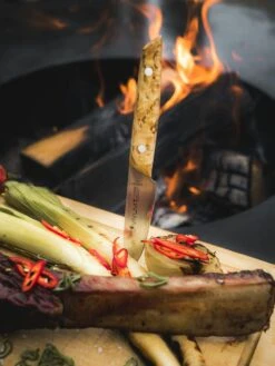 F. DICK Officemesser VIVUM 10 Cm -Grill Verkaufsgeschäft 4009215188967 DICK VIVUM OFFICEMESSER 83647102H 04