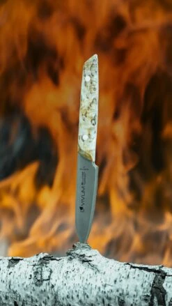 F. DICK Officemesser VIVUM 10 Cm -Grill Verkaufsgeschäft 4009215188967 DICK VIVUM OFFICEMESSER 83647102H 05