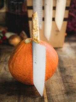 F. DICK Allzweckmesser VIVUM 18 Cm -Grill Verkaufsgeschäft 4009215191172 DICK VIVUM ALLZWECKMESSER WELLENSCHLIFF 83644182H 03