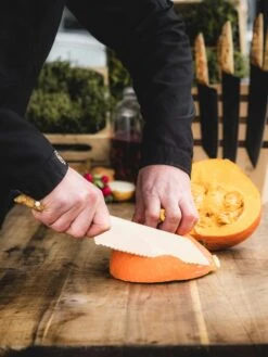 F. DICK Allzweckmesser VIVUM 18 Cm -Grill Verkaufsgeschäft 4009215191172 DICK VIVUM ALLZWECKMESSER WELLENSCHLIFF 83644182H 04