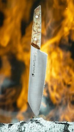 F. DICK Allzweckmesser VIVUM 18 Cm -Grill Verkaufsgeschäft 4009215191172 DICK VIVUM ALLZWECKMESSER WELLENSCHLIFF 83644182H 05