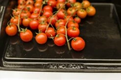 NAPOLEON Gusseiserne Grillplatte Plancha (56090) -Grill Verkaufsgeschäft NAPOLEON Plancha Porzellan Emailliert 6