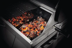 NAPOLEON Charcoal Professional, Edelstahl -Grill Verkaufsgeschäft PRO605 charcoal inuse