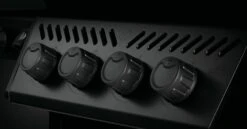 NAPOLEON Phantom Freestyle 425, Mit Edelstahl Rosten Und Tür, Mattschwarz -Grill Verkaufsgeschäft Phantom Freestyle F425DSIBPK PHM Detail Control Panel