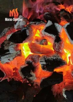 Big Green Egg Woody Holzkohle Aus Buchenholz 10 Kg -Grill Verkaufsgeschäft bge 0724943369085 Buchenholzkohle 2048x2048