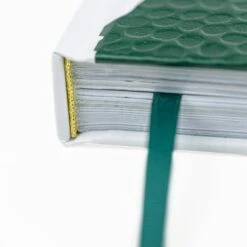 Big Green Egg Kochbuch "Kochen Mit Dem Big Green Egg" -Grill Verkaufsgeschäft bge 2200039530068 ISBN 9783831045365 R6 0510 Bearbeitet