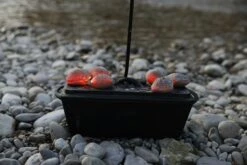 McBrikett KOKOKO EGGS 10kg -Grill Verkaufsgeschäft mcbrikett kokoko eggs mood 05